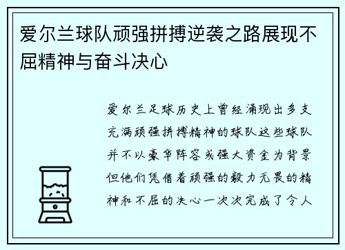 爱尔兰球队顽强拼搏逆袭之路展现不屈精神与奋斗决心